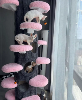 Foto da avaliação Maria 2